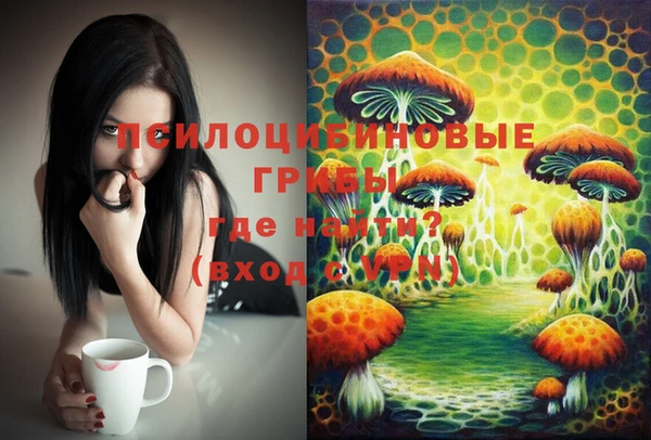 синтетический гашиш Балахна