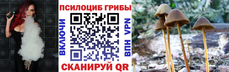 Галлюциногенные грибы Psilocybine cubensis  купить наркотики сайты  даркнет наркотические препараты  Зеленогорск 
